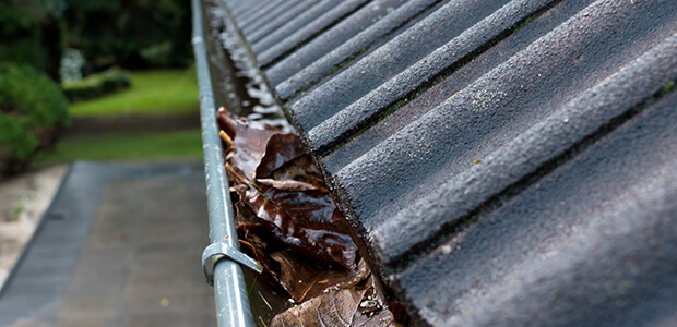 Gutter
 Cleaning Cost